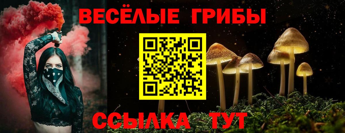 Галлюциногенные грибы мухоморы  Вход с VPN  Корсаков 